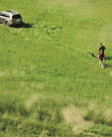 BRAND_PHOTOGRAPHY_SUMMER16_FORESTER_GRADE A_0170_300_CMYK HR